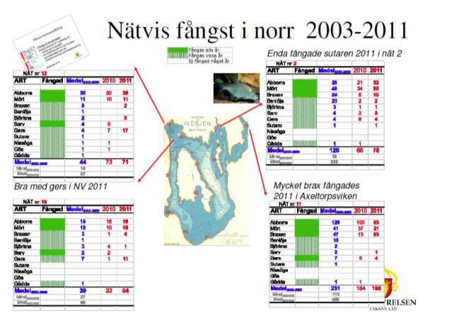 Nätvis sammanställning Förslag till att gå vidare: Arbetsutskottet får i uppdrag att