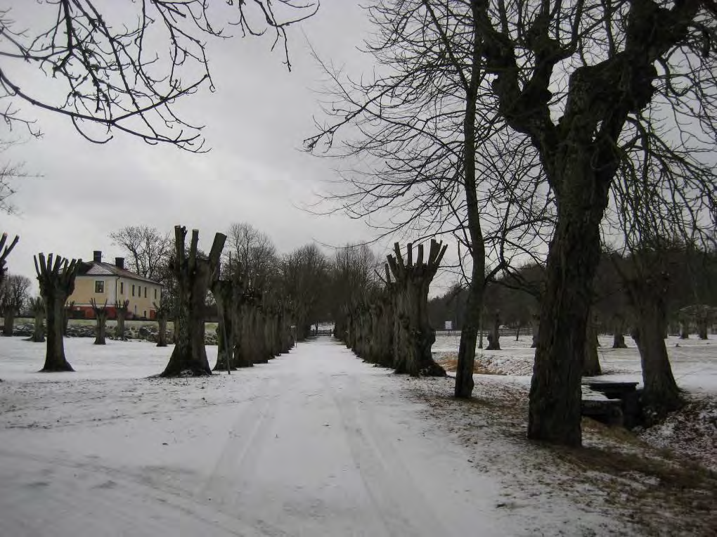 markerat med ljusblått i figur 3. Figur 18.