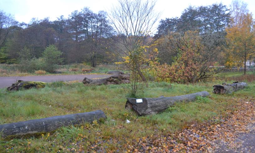 Grimbo Denna lokal utgörs av en parkeringsplats till bågskyttebanan i Grimbo och biodepån består av 22 grova stammar som är utlagda i två ringar kring parkeringen sedan 2009.