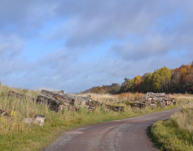 Brudaremossen I kanten av Brudarebacken, ca 500 m NV om masten ligger 2 rader med stockar utlagda på ömse sidor om den lilla körväg som löper utefter backens östra kant.