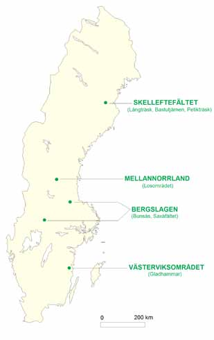 Projekt Sedan hösten 2006 har Wiking Mineral med intensitet och kvalitet bedrivit lyckosam prospektering i Sverige efter guld och basmetaller.