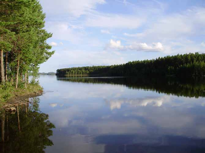 De geologiska förhållandena vid fyndigheten gjorde dock att bolaget bedömde möjligheten till fynd av ytterligare guldmineralisering i Losområdet som god.