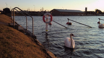 På västkusten kan vattnet vid en västlig storm stiga omkring 2 meter längst in i vissa fjordar.