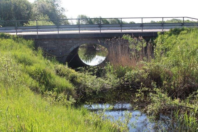 Sträcka 4 Längd: 1090 m Medelbredd: 2 m Medeldjup: 0,4 m Botten: Grovdetritus Strömförhållande: Svagt strömmande Skuggning: <5 % Död ved: