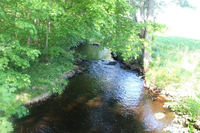 Sträcka 5 Längd: 694 m Medelbredd: 3 m Medeldjup: 0,3 m Botten: Sten och grus Strömförhållande: Strömmande Skuggning: >50 % Död ved: Måttlig förekomst Fysisk påverkan: Försiktig Öringbiotop: Tämligen