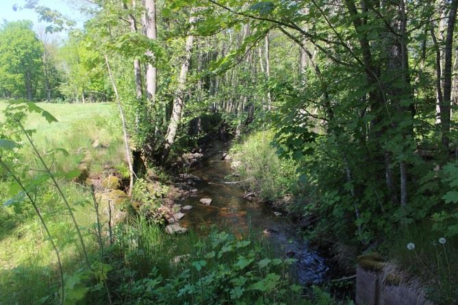 Sträcka 11 Längd: 1655 m Medelbredd: 3 m Medeldjup: 0,2 m Botten: Sten Strömförhållande: Svagt strömmande Skuggning: 5-50 % Död ved: Liten förekomst Fysisk påverkan: Omgrävd Öringbiotop: Möjliga