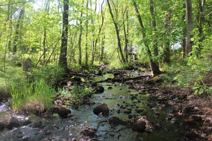 Sträcka 13 Längd: 547 m Medelbredd: 3 m Medeldjup: 0,2 m Botten: Sten Strömförhållande: Strömmande Skuggning: >50 % Död ved: Måttlig förekomst Fysisk påverkan: Försiktig Öringbiotop: Mycket goda