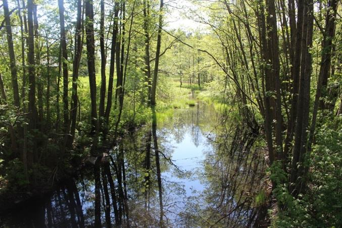 Sträcka 14 Längd: 504 m Medelbredd: 5 m Medeldjup: 0,8 m Botten: Grovdetritus Strömförhållande: Lugnflytande Skuggning: 5-50 % Död ved: Liten förekomst Fysisk påverkan: Kraftig Öringbiotop: Lek- och