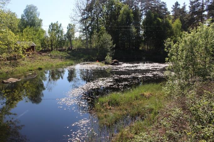 Sträcka 18 Längd: 92 m Medelbredd: 30 m Medeldjup: 0,7 m Botten: Grovdetritus Strömförhållande: Lugnflytande Skuggning: <5 % Död ved: Liten förekomst Fysisk påverkan: Kraftig Öringbiotop: Saknas helt.