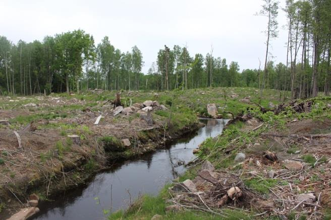 Öringbiotop: Lekområden saknas, möjliga uppväxtytor och ståndplatser finns på små arealer. Noteringar/åtgärder: Flera diken ansluter.