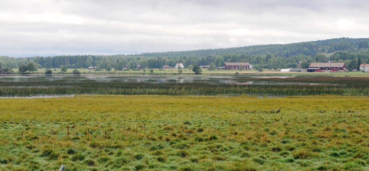 Delområden Sässman områdets största sjö med välbetade stränder runt hela sjön.