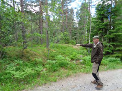 Inventeringsrapport Vinterskogens naturreservat 8 RASTMÖJLIGHETER Planerad