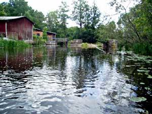 Dessutom har vattnet fördelats på fler kanaler och lekgrus har lagts ut så att ca 3 000 m² lekområde återskapats. 2.