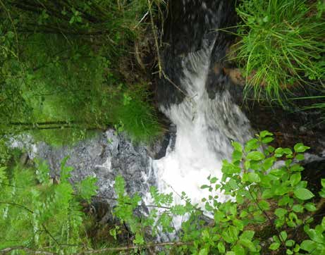 Vandringshinder 11 Vandringshindret ligger cirka 600 meter nedströms Skållesjöns utlopp. Det är ett naturligt hinder med en fallhöjd av 1,7 meter (Figur 102).