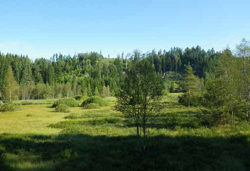 30 Markanvändning i Närmiljön 20 10 0 Barrskog Blandskog Längd % Lövskog Kalhygge Hällmark Åkermark Öppen mark Våtmark Artificiell mark Figur 71.