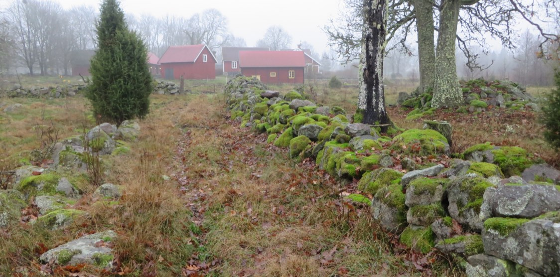 ängsmark sedan minst 1600-talets