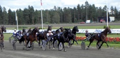 CHAMPIONLIGAN Medelst välavvägda styrningar med två 4-åringar såg CARL- ERIK LINDBLOM till att ta sig in på championligans tablå. Calle missköter förresten aldrig en styrning.