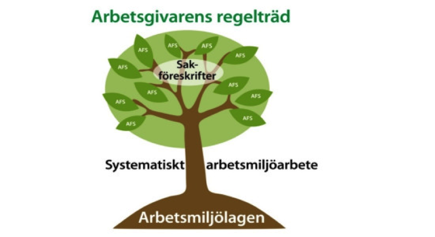 Arbetsmiljölagen som fundament Bilden nedan illustrerar hur arbetsmiljöarbetet växer fram ur regelträdet. Arbetsmiljölagen är trädets rot och fundament.