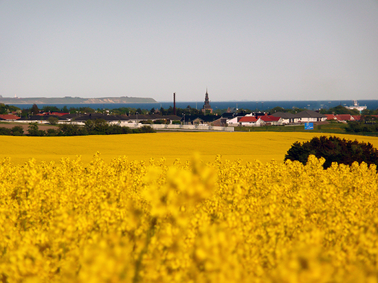 TOMELILLA KOMMUN Tomelilla kommun har gott om trevliga naturmiljöer, med allt från böljande åkrar till vackra skogar.