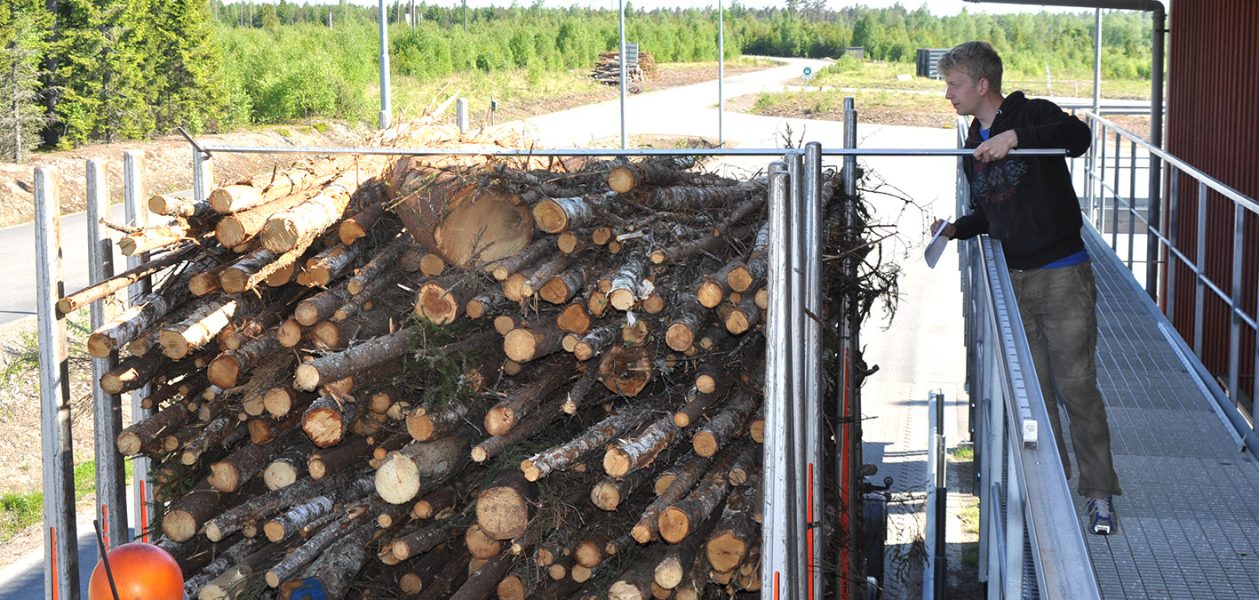 Mätning av delkvistad energived BAKGRUND OCH SYFTE Delkvistad energived är ett sortiment som ökat i omfattning. Detta sortiment kan eventuellt inte mätas efter samma mall som massaved, d.v.s. travmätning med bedömning av vedvolymandel.