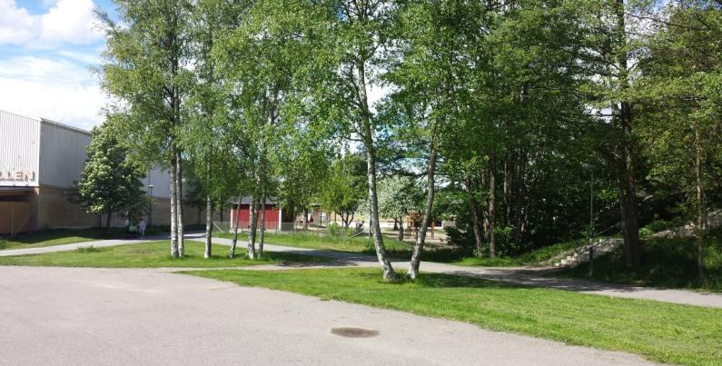 Vy mot norr som visar den nordvästra delen av planområdet