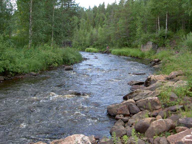 2222 FISKERIVERKET 2006-02-10 Lokal 2. Fors nedströms länsstyrelsens vattenprovtagningspunkt. (x: 7460674; y: 1842178) Figur 17. Elfiskelokal 2. Fors, Tupojoki.