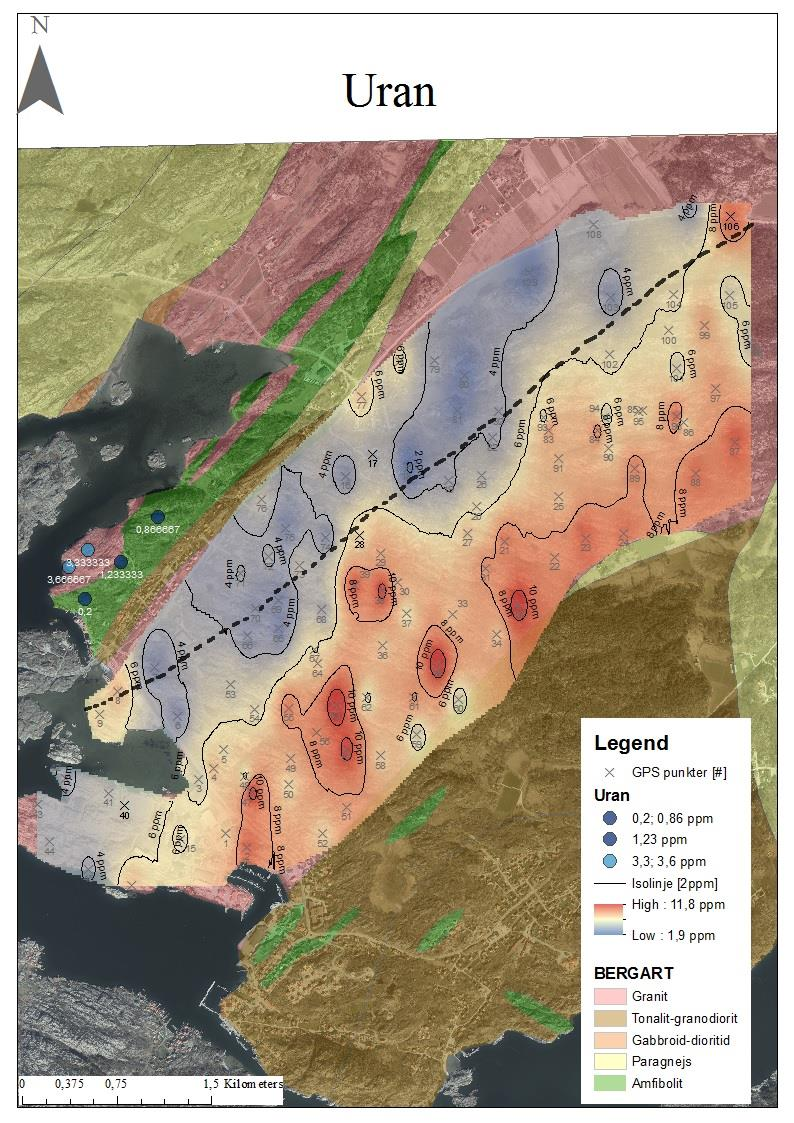 Figur 11. Strålningskarta som visar halterna av uran. Den streckade linjen markerar den antagna Bergströms (1963) kontakt mellan två olika granitenheter (Fig. 3).