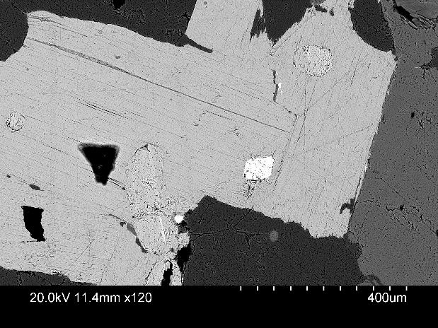 Scale is 1mm. Figur 14b. En BSE-bild av samma allanit kristall från fig. 13a.