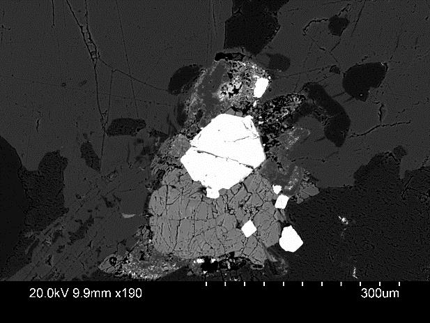 A BSE-picture of a zircon included in biotit. Magnified 120 times. Figur 16.