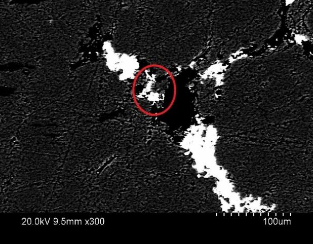 Figur 19. En BSE-bild av en Titanitkristall från provlokal 40. Förstorad 210 gånger. A BSE-picture of a titanite crystal from site 40. Magnified 40 times. Figur 20.