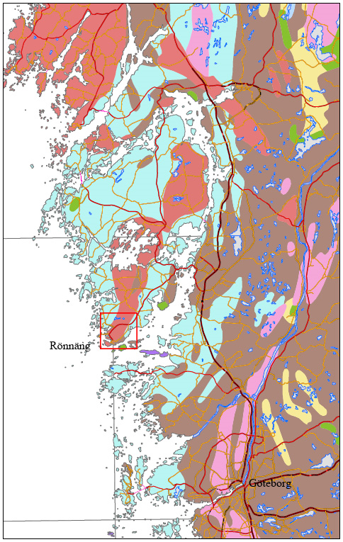 Syftet med denna studie är att kartlägga uran och torium variationen i Stigfjordsgraniten och identifiera i vilka mineral dessa radioaktiva ämnen sitter och förklara varför det är förhöjda halter