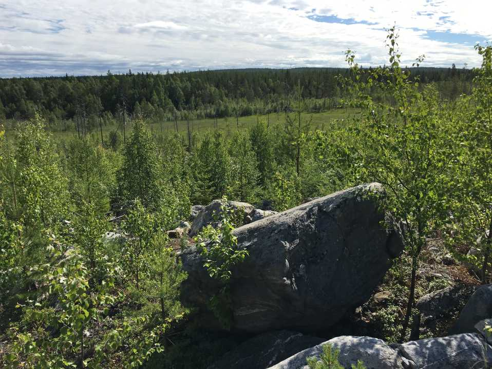 Skogsfastighet om 130 ha med bra åtkomst. Produktiv skogsmark om ca 6 ha och ett virkesförråd om ca 9 200 m³sk. Ingår i Lövö Strömsjönäs VVO om 2 477 ha.