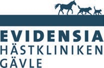 GÄVLE V- TRIO TVILLING VINNARE PLATS 0.00-0.000 kr. Körsvenskrav kat.. 0 m. Autostart. TIPSY KNIGHT 0:, AK Tot: --.000,mbr.v.e Running Sea - : 0-0-0,a : --0,a.