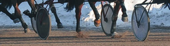 hänt sen sist nyheter från gävletravet Bollnäs januari Stall Vi Tre har haft Västerbo Jackpot i ägo sedan oktober månad ifjol. Efter tre starter som oplacerad kom nu första segern.