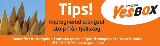 GÄVLE OOBY DOOBY C.J. 0:, AK Tot: 0--.0,mbr.s.e Gigant Neo - : 0-0-0,a : 0--0,a.0 Susie Q.C.J. e Gidde Palema Leo Em E /- /0 0, cc 0' Uppf.
