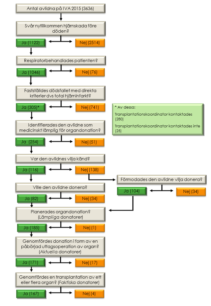Bilaga Flödesschema avlidna organdonatorer i Sverige
