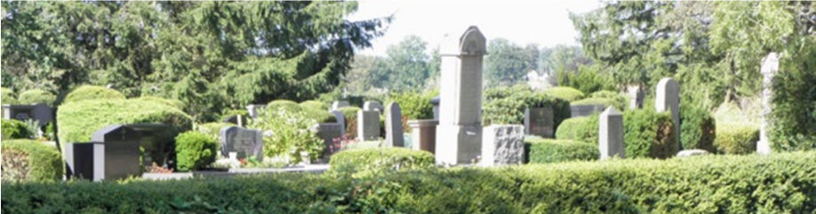 Nivåskillnaden på kyrkogården är bitvis märkbar framför allt längs östra sidan.