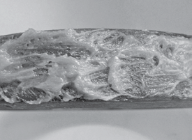 Victaulic smörjmedel rekommenderas inte för användning med polyetylenrör med hög densitet (HDPE). Se Victaulic publikation 05.02 för materialsäkerhetsblad för Victaulic smörjmedel.