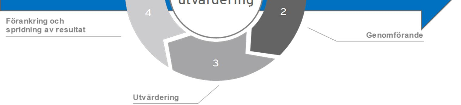 ske på seminarier och möten eller hur intervjuer med nyckelpersoner och intressenter ska genomföras.