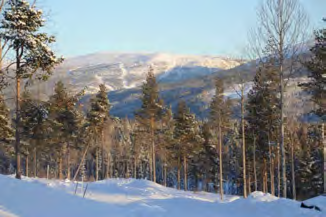 VEMDALEN BY / HÖGÅSVÄGEN 20 BYGGKLAR TOMT Utgångspris: