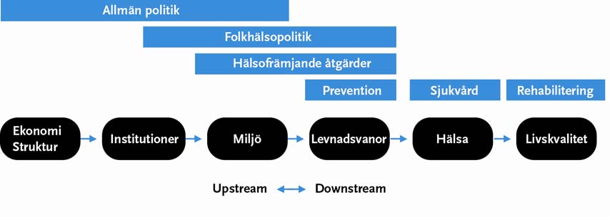 Förslag till regional folkhälsomodell, 2014-01-20 12 (16) utvecklingsledare för folkhälsa, vore det till fördel om yrkets delar hade en mer regiongemensam basnivå än idag.