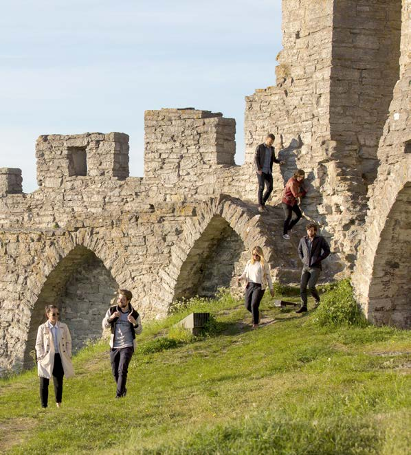 13 Campus Gotland finner du mellan stranden och ringmuren i stadens inre hamn.