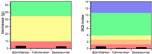 Figur 8. Bedömning av biomassa och BQI-index i de undersökta vikarna 2011. Djup > 10 m Endast ett fåtal djur hittades på djup > 10 m i samtliga vikar.