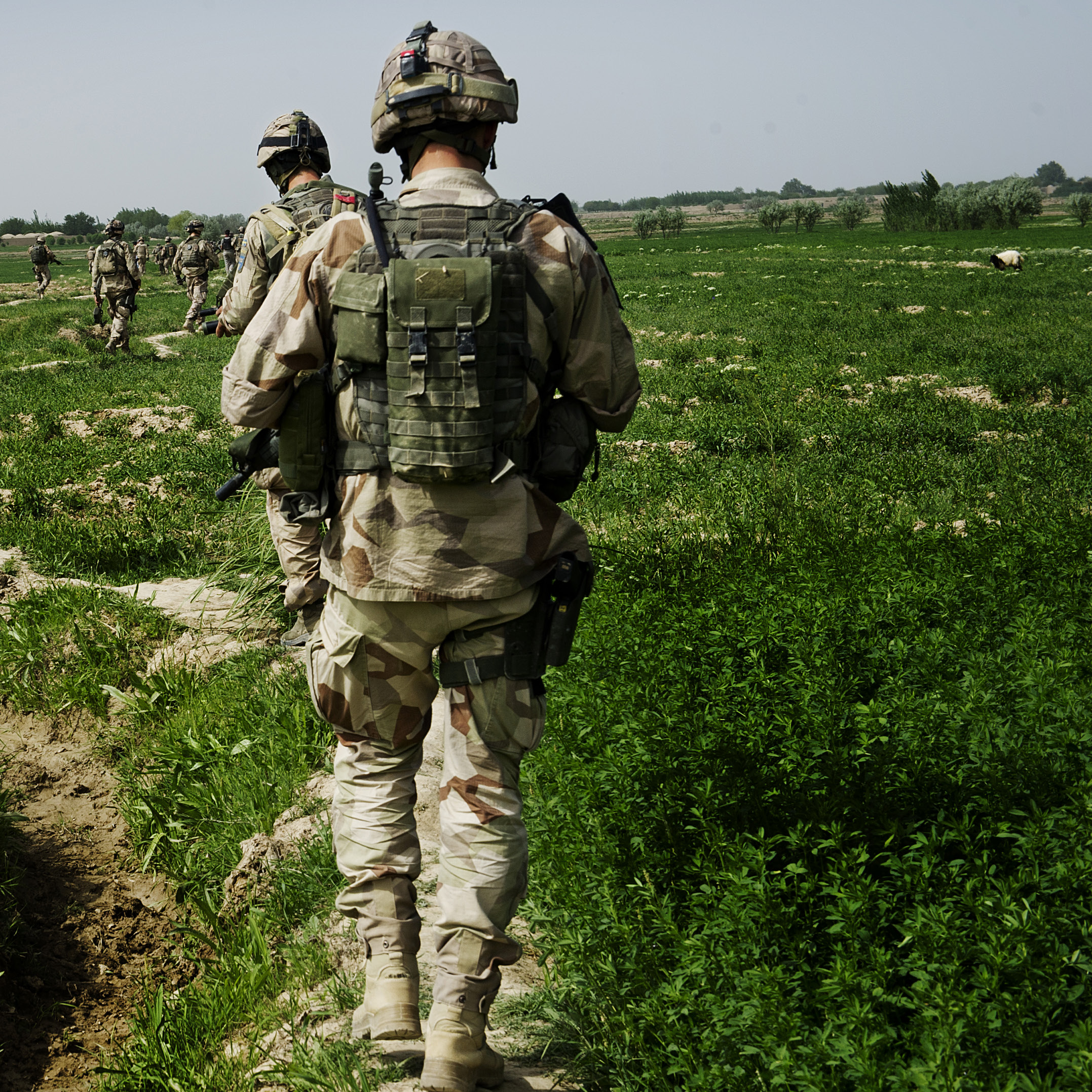 SJÄLVMORD Det har länge varit känt att militär tjänstgöring kan innebära trauman som ger upphov till psykiskt lidande.