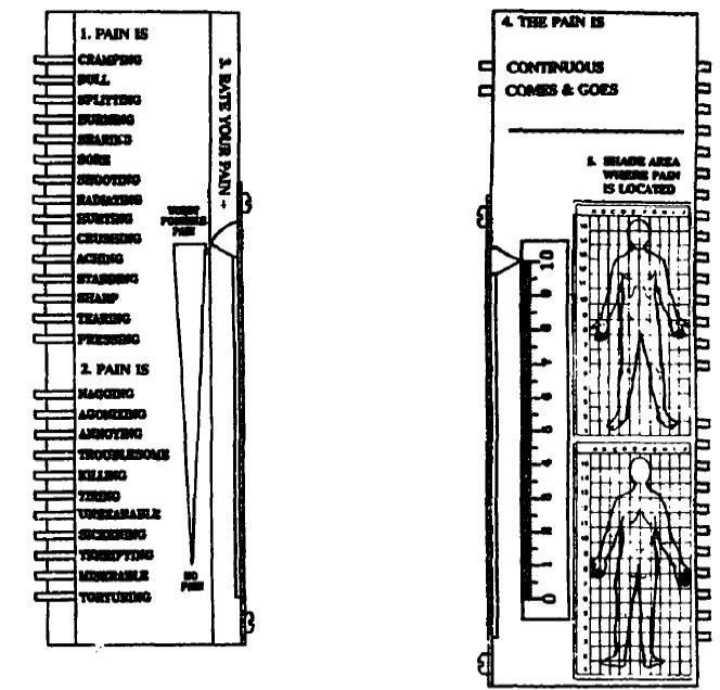 Bilaga 3 Pain-o-meter - POM Ur