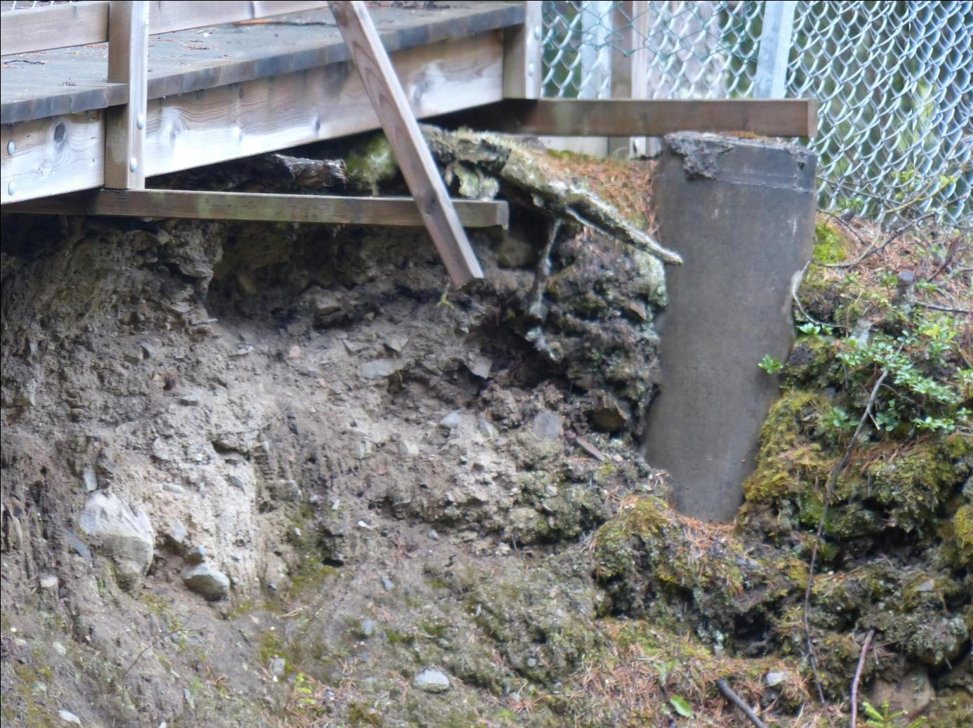 I dagsläget finns inget som hindrar fortsatt erosion av de lösa jordlagren vilket gör att allt stöd för västra sektionen riskerar att eroderas bort. Figur 14.