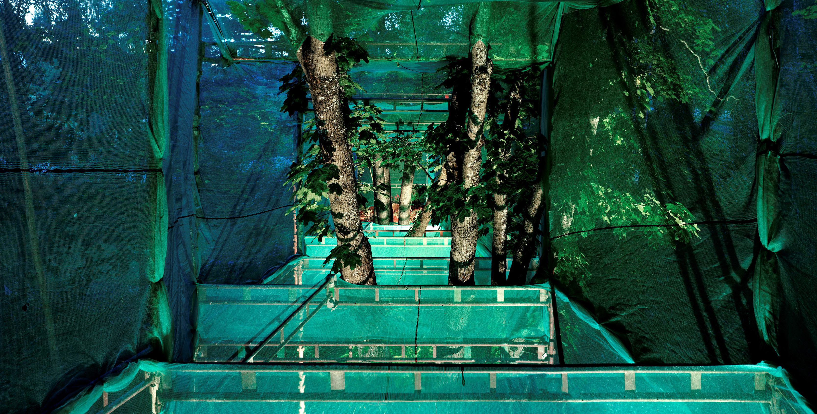 Ilkka Halso, Garden With a View, Inside, 2010 NOVEMBER / DECEMBER Sön 13/11 Kl 13-15 Öppen Bildverkstad: Vi gör ett collage utifrån ett konstverk i utställningen Next:Utopia Med skulptör/målare Erik