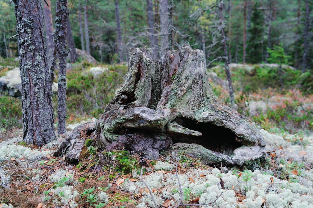 Information i denna beskrivning är baserad på ägarens uppgifter samt annat tillgängligt material. För felaktigheter, nuvarande eller eventuella kommande, i detta material ansvaras ej.