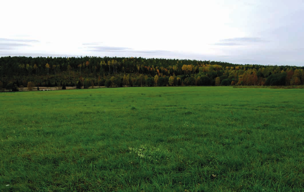 SKOG OCH MARK SKOGSMARK Skogsmarken har inventerats i september 2015 av Göran Sigvardsson.