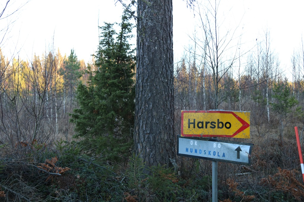 Fortsätt i 4,4 km tills du håller höger i korsningen mot Harsbo. Efter ca 400 m är du framme vid fastigheten. Har ni problem att hitta fastigheten eller vill ha hjälp att hitta fastighetens gränser?